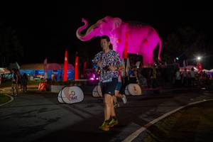 BIB: 
                            <button type="button" onclick="openModal(26552032)" class="btn btn-primary btn-sm float-right btn-popup" data-toggle="modal" data-target=".modal-high-quality">
                        <i class="fas fa-shopping-cart"></i> Add to Cart
                    </button>
                                            <button type="button" onclick="isThisMe(26552032, true)" class="btn btn-success btn-sm float-right btn-popup btn-isme hidden" data-toggle="tooltip" data-placement="bottom" title="นี่คือรูปของคุณใช่ไหม คลิกที่นี่เพื่อเอาเข้าอัลบั้ม">
                        <i class="fas fa-plus"></i> Add to album
                    </button>
                    <button type="button" onclick="isThisMe(26552032, false)" class="btn btn-warning btn-sm float-right btn-popup btn-isnotme hidden">
                        <i class="fas fa-ban"></i> Remove from album
                    </button>